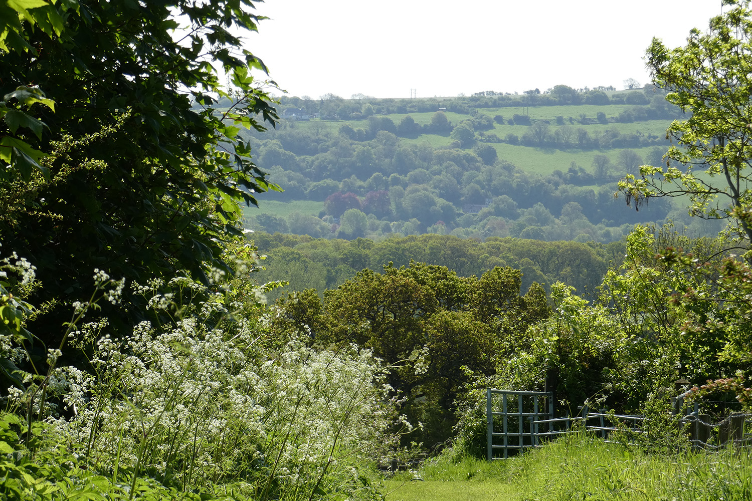 Farm View